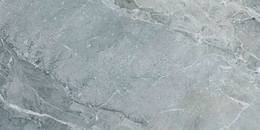 Dark Grey Porcelain Marble Floor Tile 1200x600 Non - Slip Chemical Resistant supplier