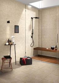 Porcelian Matte Porcelain Living Room Tile V4 - Substantial Variation Stable supplier