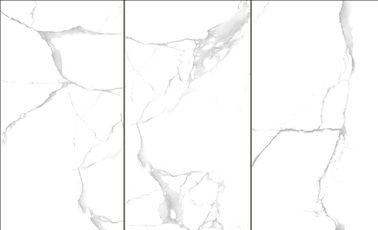 Chemical Resistant Exterior Porcelain Tile 300*600mm V4- Substantial Variation supplier