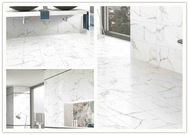 Chemical Resistant Exterior Porcelain Tile 300*600mm V4- Substantial Variation supplier
