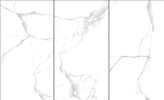 Odporna na chemikalia zewnętrzna płytka porcelanowa 300 * 600 mm V4 - znaczne różnice